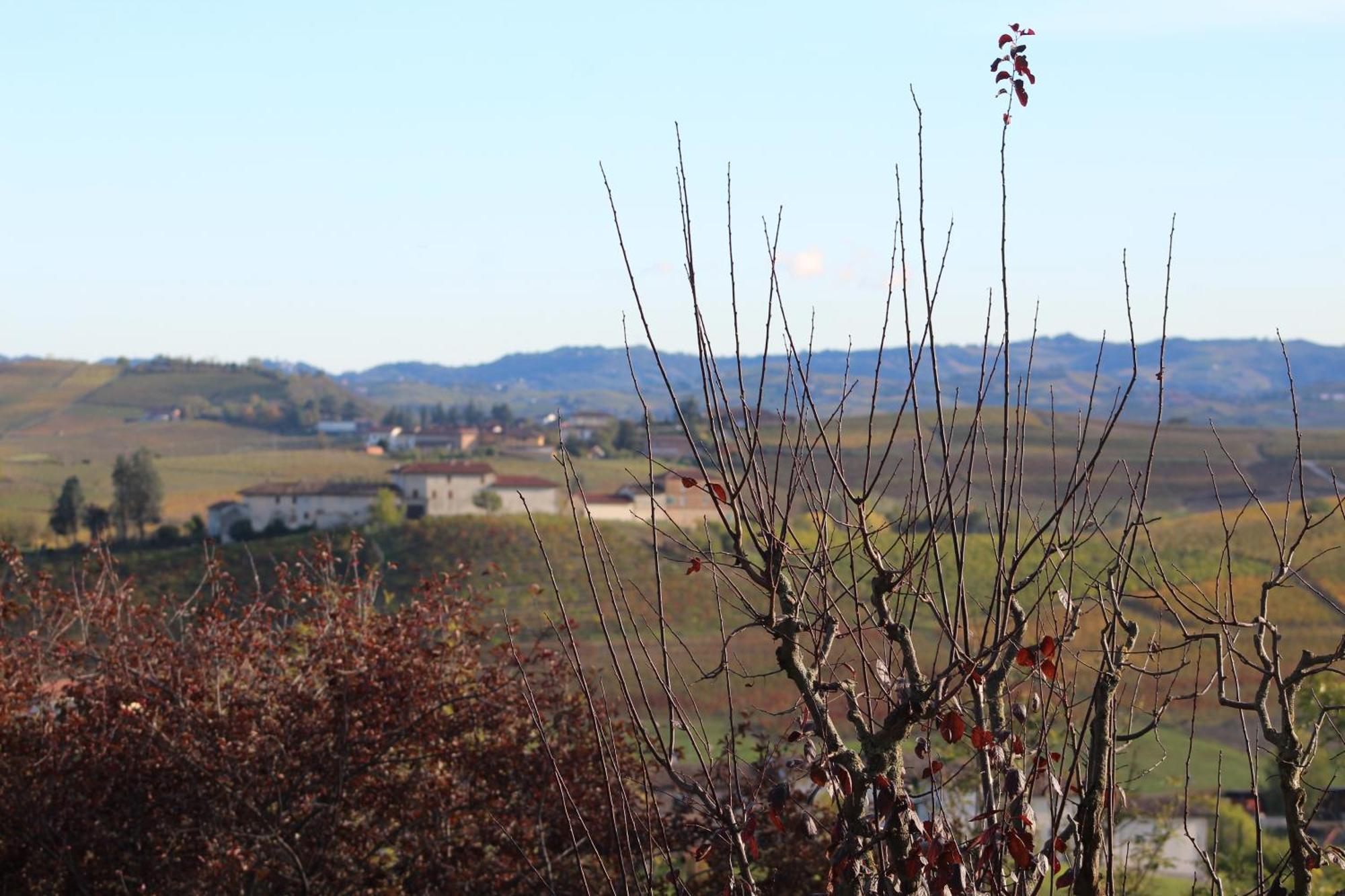 Montegrosso dʼAsti Locanda Del Boscogrande מראה חיצוני תמונה