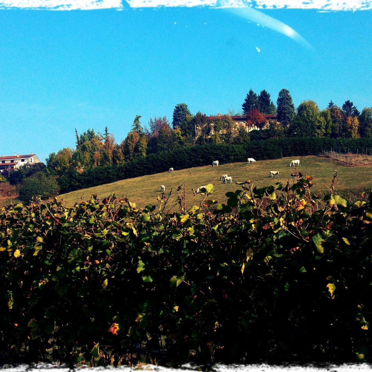Montegrosso dʼAsti Locanda Del Boscogrande מראה חיצוני תמונה